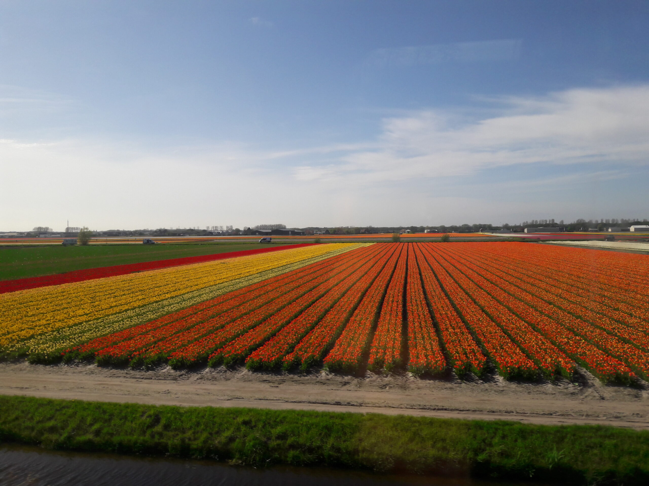 bouwen schoonheid veiligheid